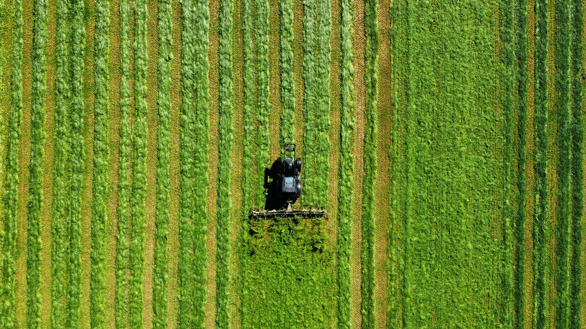 Aerial view of a tractor working patterns on lush green farmland